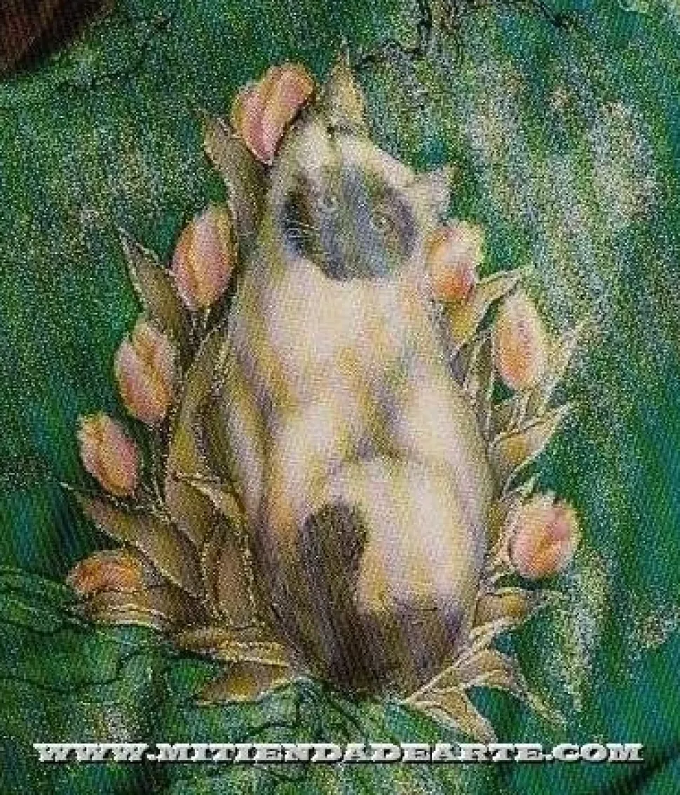 SUPER OFERTA **40%** Transferibles para tela y madera Plaid 57819