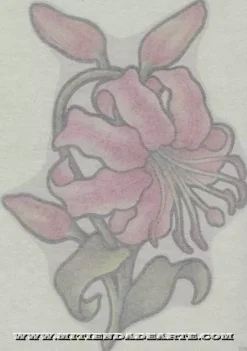 SUPER OFERTA **40%** Transferibles para tela y madera Plaid 57801