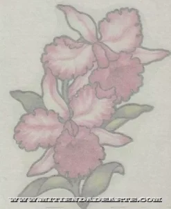 SUPER OFERTA **40%** Transferibles para tela y madera Plaid 57823