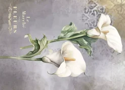 Tela de Encuadernar Calla Lily I La Vie en Fleurs PapersForYou 70x50cm