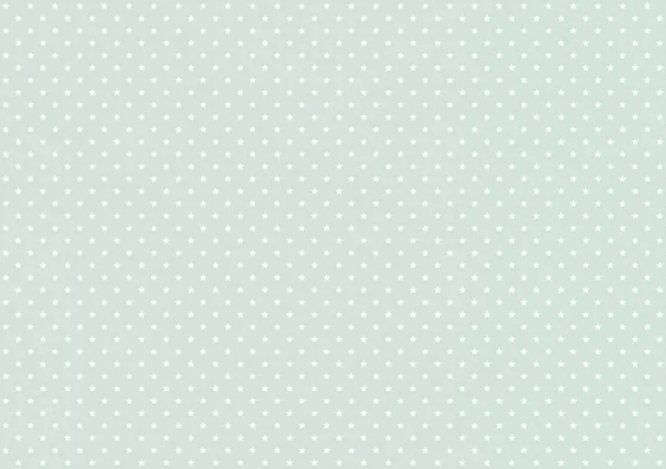 Tela de Encuadernar Estrellas Blanca Menta PapersForYou 70x50cm
