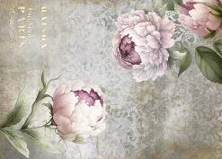 Tela de Encuadernar Peonies II La Vie en Fleurs PapersForYou 70x50cm