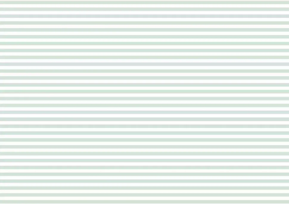 Tela de Encuadernar Raya Menta PapersForYou 70x50cm