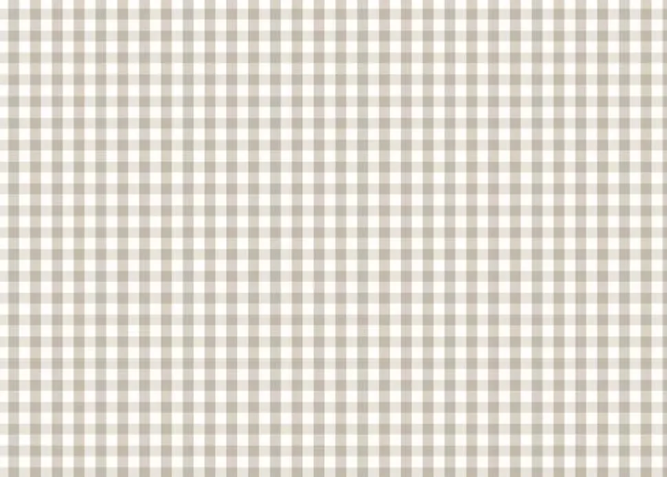 Tela de Encuadernar Vichy Tierra PapersForYou 70x50cm