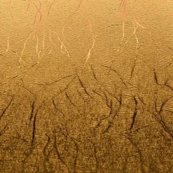 Vinilo Permanente Textura Metalizada Dorado Cricut 30x120cm